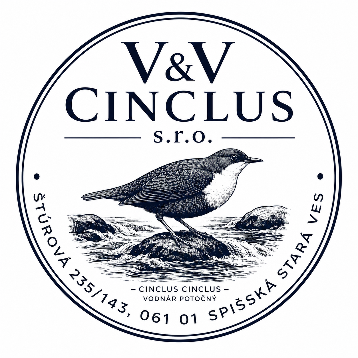 cinclusvv.sk
